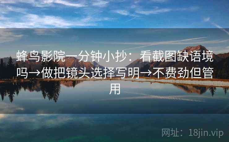 蜂鸟影院一分钟小抄：看截图缺语境吗→做把镜头选择写明→不费劲但管用